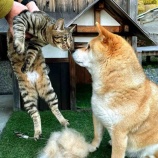 『もう春本番やわ〜』の画像