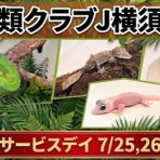 爬虫類クラブJ 横須賀店ブログ