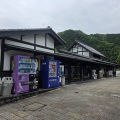 駿府城公園 (*ΦωΦ*)にゃー