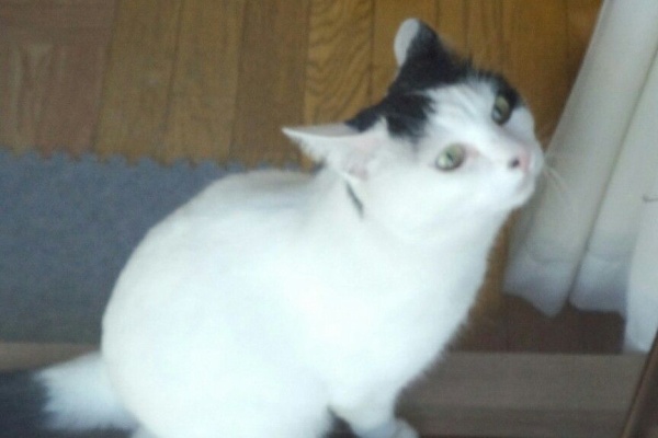 熱血 ジャージ校長の日誌 元高校校長 鈴木高弘 16年11月