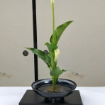 花と短歌と竹原と
