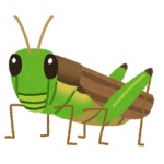 【食】完全食品の昆虫が食糧難を救う？　通は「幼虫タコスにイナゴのハンバーグ」