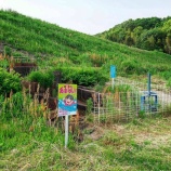 『『原の大池・円筒分水工(東播用水)』(1) / 兵庫県加古川市』の画像