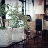 『家の中でやりたい事が増えてくる』の画像