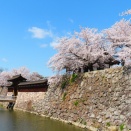 信州お花見紀行④松代城跡