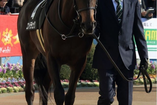 ねこパンチの一口馬主 リッチダンサー