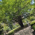 週明け～で今日はメンテナンス・洗浄・後片付け～