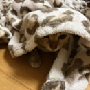 特に