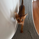 早起きして、元気に歩くりすたん