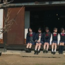 セツナソウ「キセキソウ」PV撮影場所