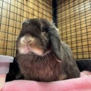 仲良しママちゃん♪