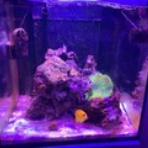 Dialy of MarineAquarium