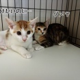無事帰宅♪