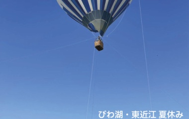 �ؤӤ�С���Ṿ �Ƶ٤�Ǯ�����θ�����٤β���