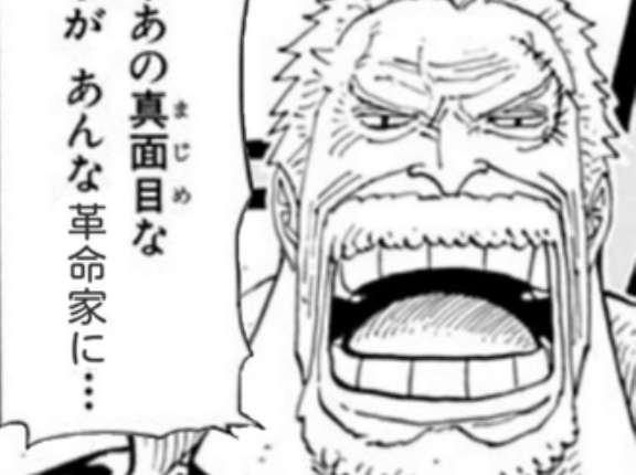 【ワンピース】ガープ「あの真面目な息子が革命家に...」