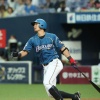 「12球団から本塁打」に王手の選手
