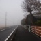 今朝も濃霧