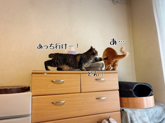 喧嘩は同じ土俵で起こる