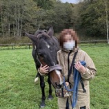 『再会』の画像