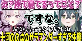 【にじさんじ】サラマンダーの生態に理解を示すサロメとまたもや限界オタクになる十河ののは