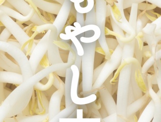 “もやし生活”がもっと楽しくなる！ 『もやし本』で広がる新しい食卓