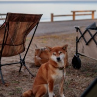 今年最後のお泊まりキャンプ
