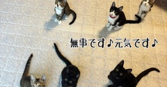 当たり前のようで有難い無事帰宅♪