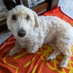 都心から郊外へ１２年目