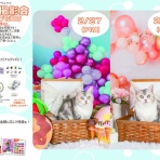 佐賀県佐賀市　ワンラブ　ゆめタウン佐賀店　blog