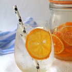 爽やか～な自家製レモンシロップでレモンスカッシュ＆園芸やさんの創業祭