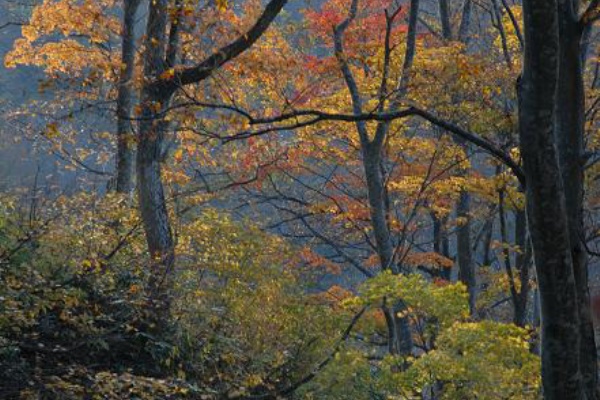 日本の原風景 - 2006年10月