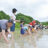 『畑の記録0429』の画像