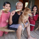 『今日、日曜日』の画像