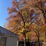 ニューヨーク最新情報。今日のNYを完全実況生中継でお伝えします!!!