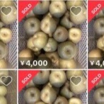梨盗品問題について、メルカリ「複数の出品者を現地調査した。結果がこちら」