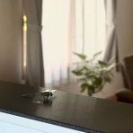 *LittleHome*