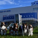北海道へ大洗港