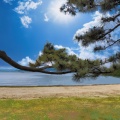 夏の青い湖