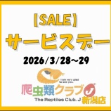 『【SALE】４月キャンペーン内容part２！　サービスデーも！』の画像