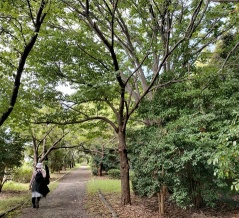 新潟空港とその周辺を歩いた
