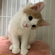 メルシーの誕生日は30枚の写真でお祝い～♪