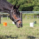 『ツアー』の画像