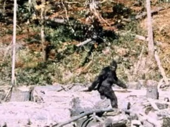 米退役軍人、軍事演習中にビッグフット3体を目撃…身長2.7mにもなる毛むくじゃら！