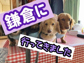 いざ鎌倉ボーダーフェスに。
