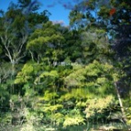 一進一退days -J-POP Archives-