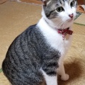 がっかり
