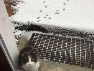 外国人「ストーリー性のある画像を世界から集めてみたｗｗｗｗ」