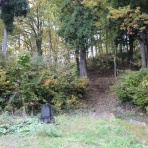 松之山温泉山の森のホテル　ふくずみ