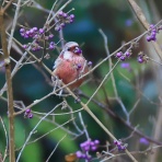 やっちゃんの写真ライフ