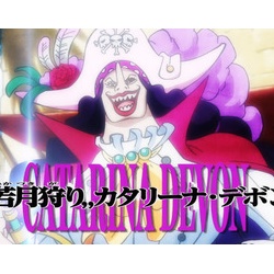 ワンピース ネタバレ あにこぱす